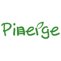 PINERGE PTE LTD