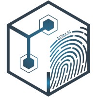 BDiM.AI logo - Similar company to Codekeepers Gmbh