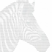 Zebra Digital Inc logo - Similar company to Unytalk