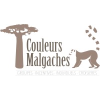 COULEURS MALGACHES DMC MADAGASCAR logo - Similar company to Easylink Logistics & Sourcing