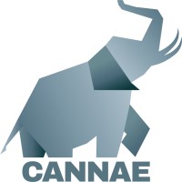 Cannae Portfolio Advisors, LLC logo - Similar company to Dream Source Solutions, Inc.