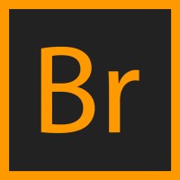 BiDR logo - Similar company to Visual Hooks