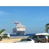 Travel in Style logo - Similar company to Style N Pups