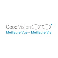 GoodVision Burkina Faso logo - Similar company to Good Vision