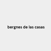 Bergnes de las Casas logo - Similar company to Theystudio
