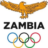 National Olympic Committee of Zambia - NOCZ logo - Similar company to Gonet Services