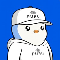 PURU Suisse GmbH logo - Similar company to Carnomaly