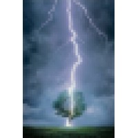 Flash Point Watch Llc
