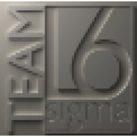 TEAM Lean Six Sigma BV logo - Similar company to Practical Impact