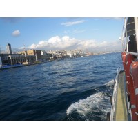 Job Pertamina-Medco E&P Simenggaris