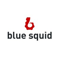 Blue Squid logo - Similar company to Blue Squid Learning
