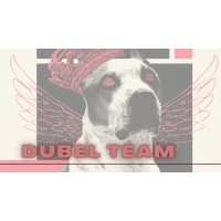 Dubel Team logo - Similar company to M.T. Abraham Group