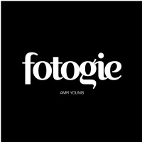 fotogie logo - Similar company to Lightning Creative Co.