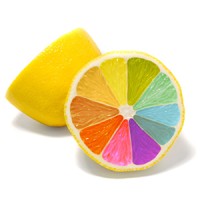 Zesty Lemon logo - Similar company to Zesty Lemons
