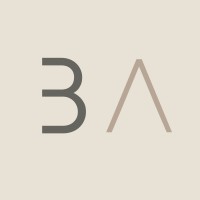 Born Advisory logo - Similar company to Bronzone Consulting