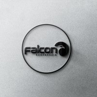 FALCON ENGENHARIA logo - Similar company to Structural Engenharia