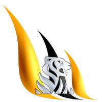 Tiger Field Services logo - Similar company to Mitchell Industries