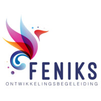 Stichting Feniks Ontwikkelingsbegeleiding logo - Similar company to Spirare Valley