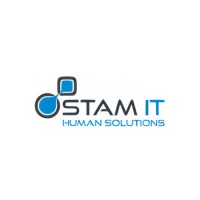 STAM ITAD logo - Similar company to Alternative Itad