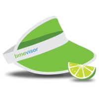 Limevisor, LLC logo - Similar company to Rev4 Solutions