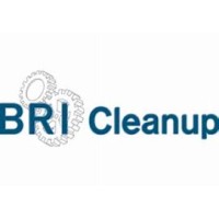 Bri Cleanup