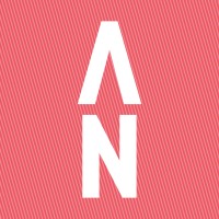 Strategic North logo - Similar company to Thirdfield: Strategy & Execution