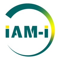 IAM-I logo - Similar company to Graphene Flagship