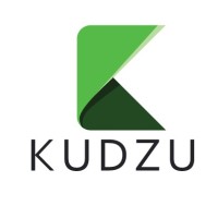 Kudzu Infotech logo - Similar company to Questworkx