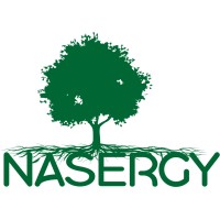 Nasergy logo - Similar company to Conesur