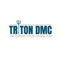 Triton Dmc Incoming Service logo - Similar company to Multiserco Group - The Emergency Response Company