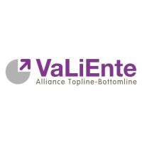 VaLiEnte Invest logo - Similar company to Ms-Industrie