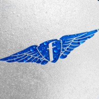 Free Energy Drink logo - Similar company to Truman Data Ltd.