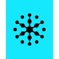 STEMstein Academy logo - Similar company to Borderless Education
