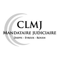 CLMJ logo - Similar company to Citya Flaubert