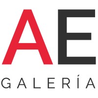 Galeria Artespacio logo - Similar company to Galería Nac