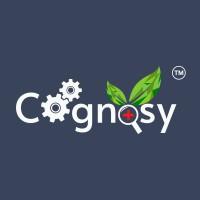 Cognosy logo - Similar company to Gnfoods Limited