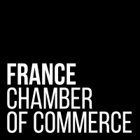 France Chamber of Commerce | WorldCC logo - Similar company to Skilla Ry