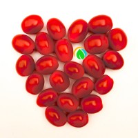 Sfera Agricola logo - Similar company to Synapta