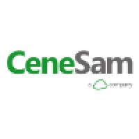 Cenesam - A Cloud Company