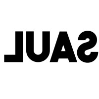 Saul Nash logo - Similar company to Surfactory