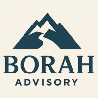 Borah Advisory logo - Similar company to Umc Innovation