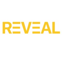 Reveal logo - Similar company to Stenberg It