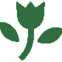 Green Tulip Homes International logo - Similar company to Pinewood Developments Llc