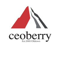 Ceoberry logo - Similar company to Take Me Home