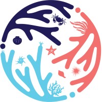 MafWorld - COST Action (CA 20102) logo - Similar company to Net4Age-Friendly