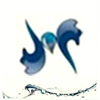 Shanghai Yuanhong Ultra High Pressure Water Jet Technology Co,. Ltd. logo - Similar company to Polyfluor Plastics Bv