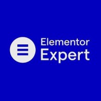 Elementor Expert logo - Similar company to 199Website.Com