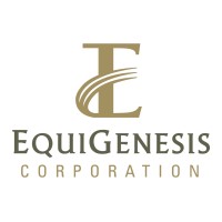 EquiGenesis Corporation logo - Similar company to 蜂投证券 Beevest Securities Limited