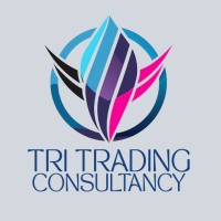 TRI TRADING CONSULTANCY logo - Similar company to Bitsol Ai Marketing