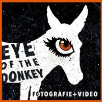 Eye of the Donkey | Ruud van der Donk logo - Similar company to Modubo